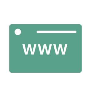 Web Development Service